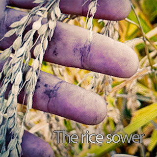 The rice sower artwork